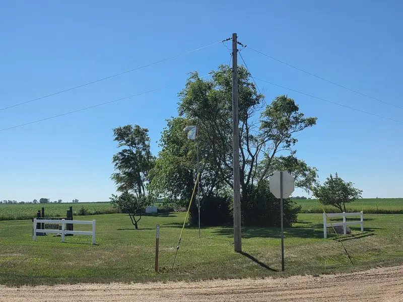 A mown corner of an acreage with a clump of trees beside a gravel road