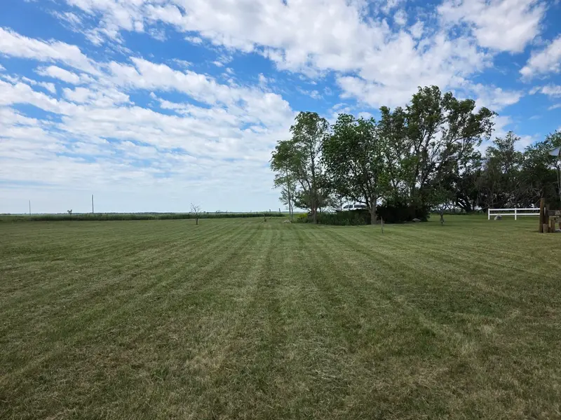 Straight mowing stripes across a large open lawn with a row of trees under a cloudy sky