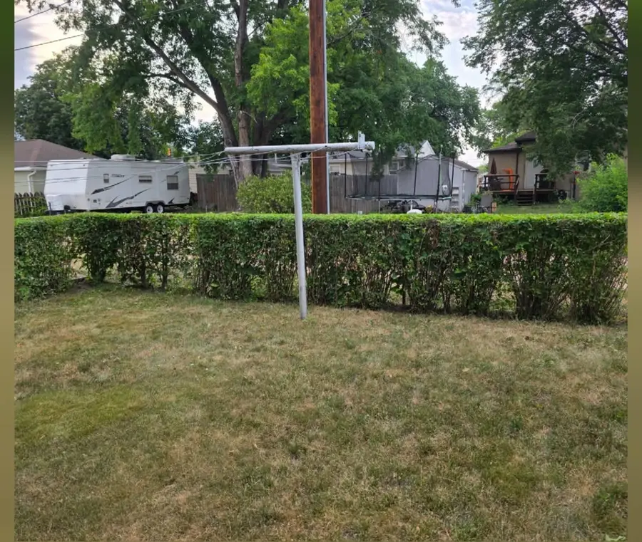 The same backyard hedge trimmed flat and even, after