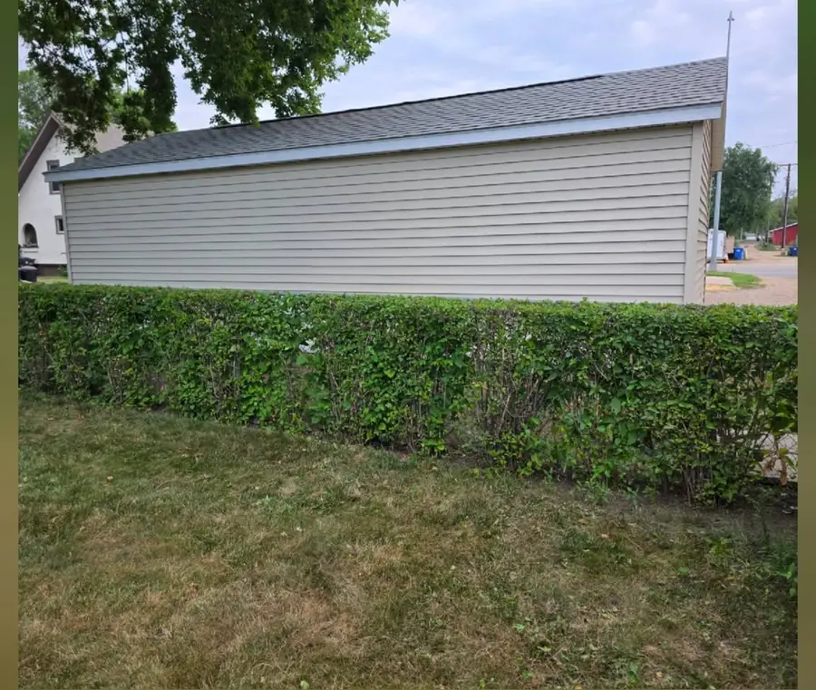 The same hedge trimmed level along the top, after