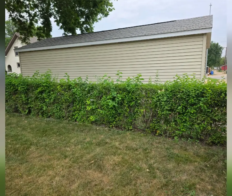 A tall uneven hedge in front of a garage, before trimming