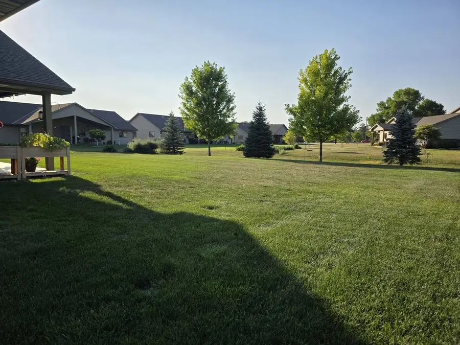A large mown backyard with young trees and neighboring homes in Mitchell, South Dakota