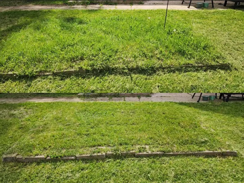 Fresh mowing stripes across a terraced lawn