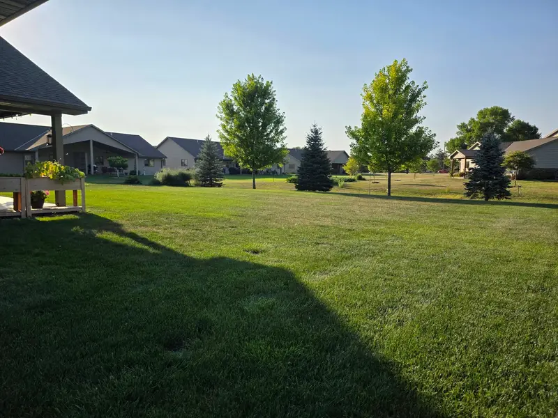 A wide mown lawn with young trees, seen from a covered patio
