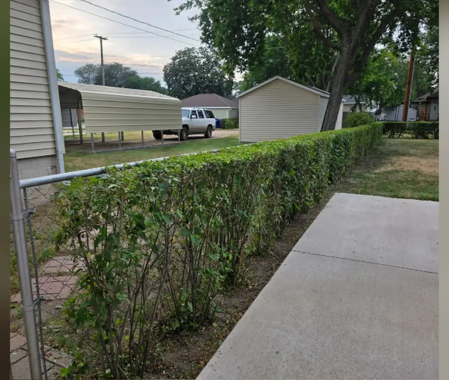 The same hedge cut back flat so the walkway is clear, after trimming